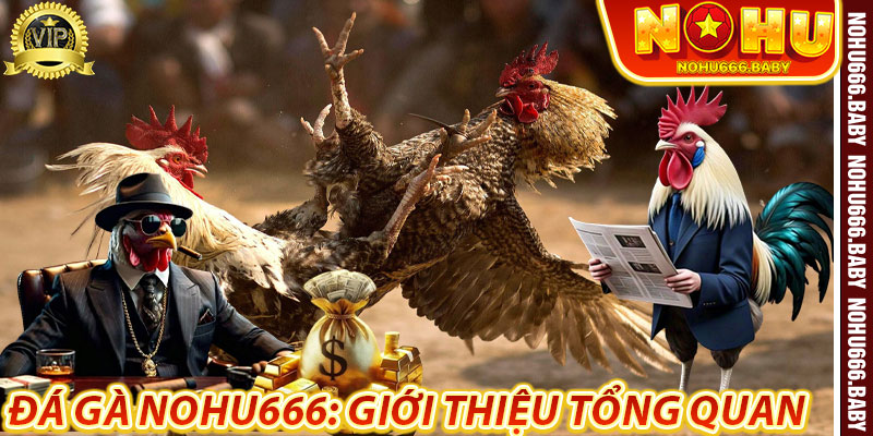 Đá Gà Nohu666: Giới thiệu tổng quan